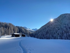 Wildboden-Trail (oua_55299624_image)